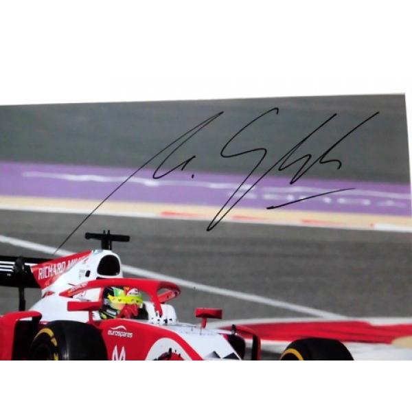 2019 M．シューマッハ F2 プレマ・レーシング 直筆サイン入