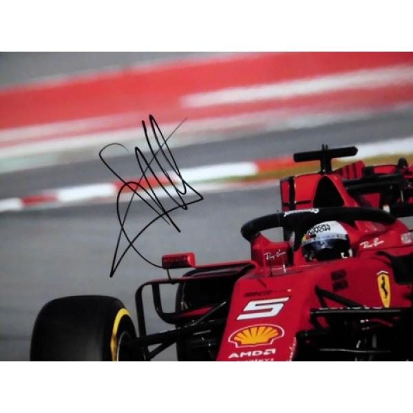 F1フェラーリ.セバスチャンベッテル直筆サイン入ドライバーズカード額装品本物 Amazon.co.jp: セバスチャン・ベッテル 直筆 サイン 入り 公式