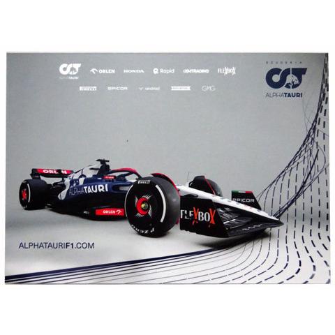 2023 角田裕毅 アルファタウリ 直筆サイン入 ドライバーズカード