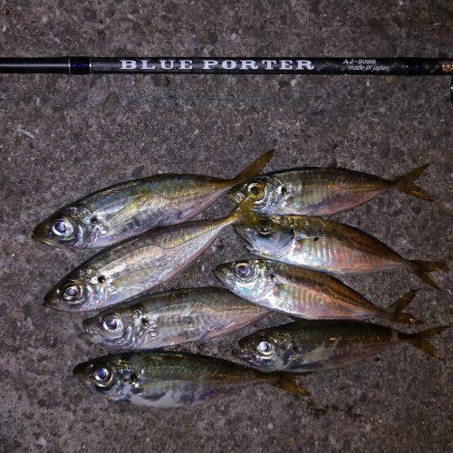 宇崎日新 アレス ブルーポーターAJ 603Ｓ美品 アジングロッド 宇崎日新 ブルーポーター X4 AJ 504S (ロッド・釣竿) 価格比較 - 価格.com
