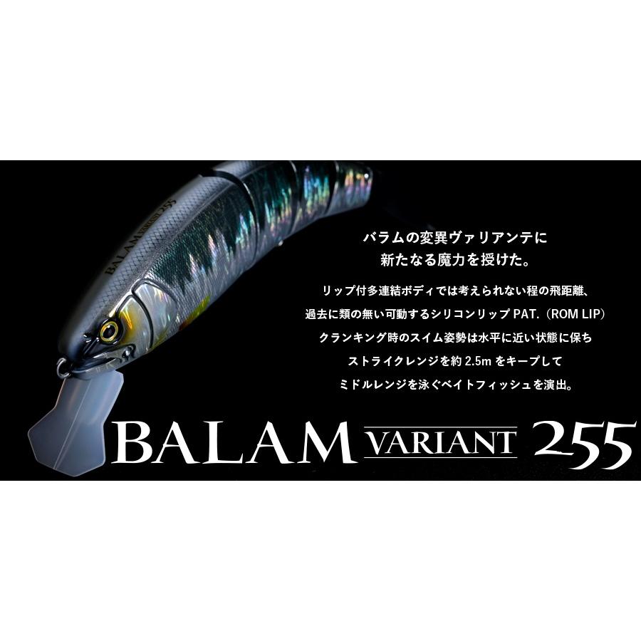 マドネス　バラム ヴァリアンテ255 ＃14 オンドリャーチャート | MADNESS | 01