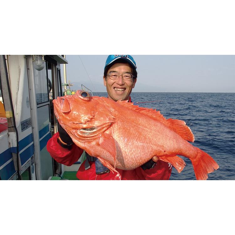 alpha tackle（アルファタックル） ディープオデッセイ(DEEP ODYSSEY