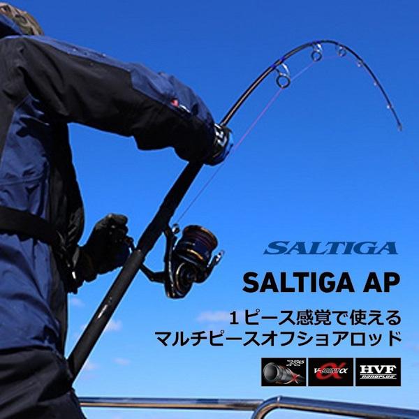 ダイワ 22ソルティガAP C83-10 | SALTIGA | 06
