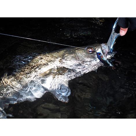 [即日発送] ダイワ モアザンブランジーノEX AGS 94MMH 【TM9280622192】(32637円)