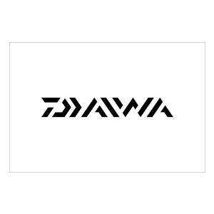 ダイワ(DAIWA) 17ファインサーフ35( FINESURF 35) 太糸 | DAIWA（釣り） | 02