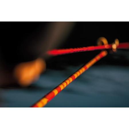 ダイワ(DAIWA) 兆(きざし) 12尺 | DAIWA（釣り） | 09