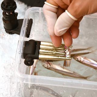 プロックス(PROX) ワンタッチワカサギ外しアイアンクロー(ネジ止式)　カラー：ブラック | PROX | 04