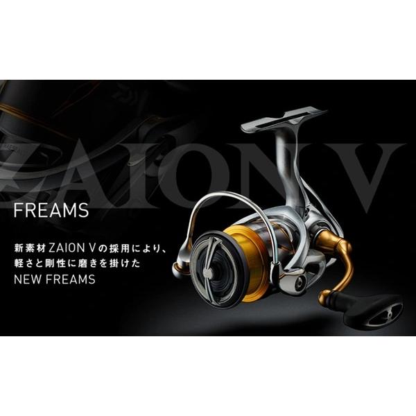 ダイワ 21フリームス LT3000-XHの画像