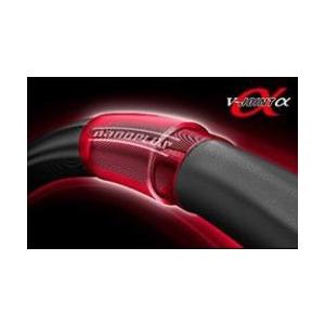 ダイワ　ソルティガ C（キャスティングモデル）83-6 | SALTIGA | 02