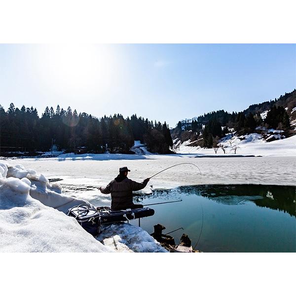 DAIWA（ダイワ） 七代目 枯法師 7・N : つり具山陽 Yahoo!店 - 通販