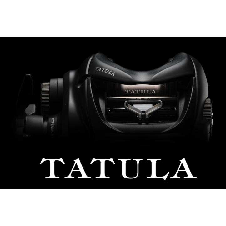 ダイワ　24タトゥーラ　TATULA TW 100H L ベイトリール ダイワ タトゥーラ TW 100HL (リール) 価格比較 - 価格.com
