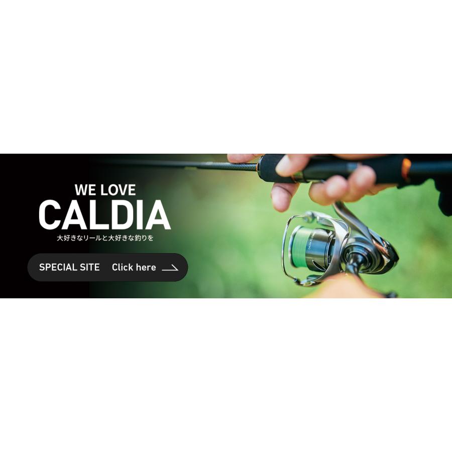 DAIWA（ダイワ） 25'カルディア LT 3000S-CXH : つり具山陽 Yahoo!店