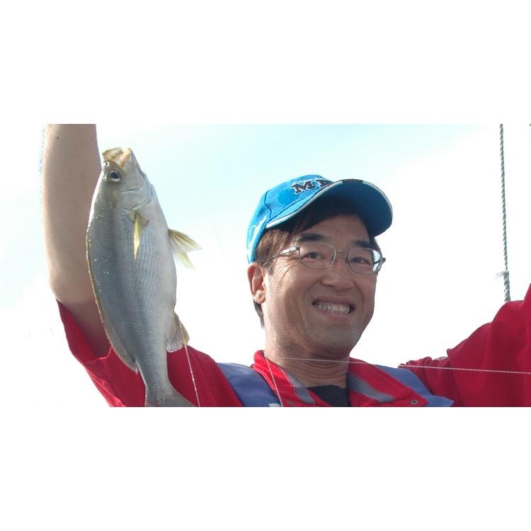 alpha tackle アルファタックル（alpha tackle） 沖釣工房 ARクワセ 20