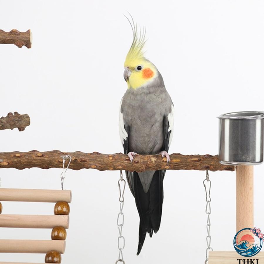 ★★　バードアスレチック　バードトイ バードアスレチック 天然木製 インコ おもちゃ スタンド オカメインコ