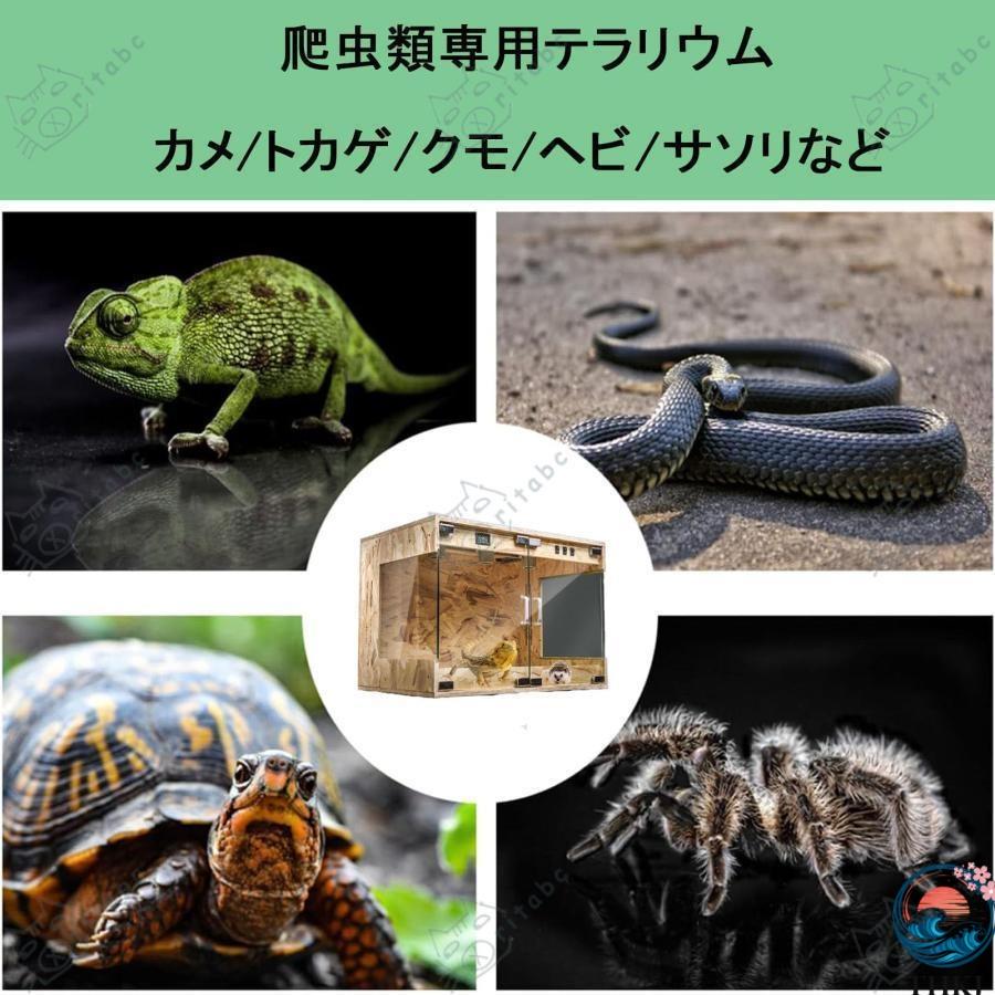 爬虫類 ケージ 飼育 ケース トカゲ THKJ 飼育セット 60 80 100 120cm