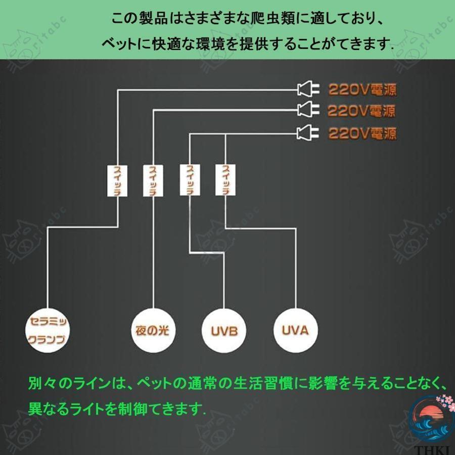 爬虫類 ケージ 飼育 ケース トカゲ THKJ 飼育セット 60 80 100 120cm