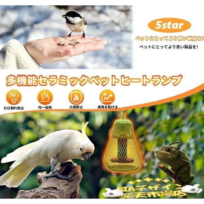 P10 小鳥 ヒーター 爬虫類 保温電球カバー付 100W 鳥 インコ とり暖