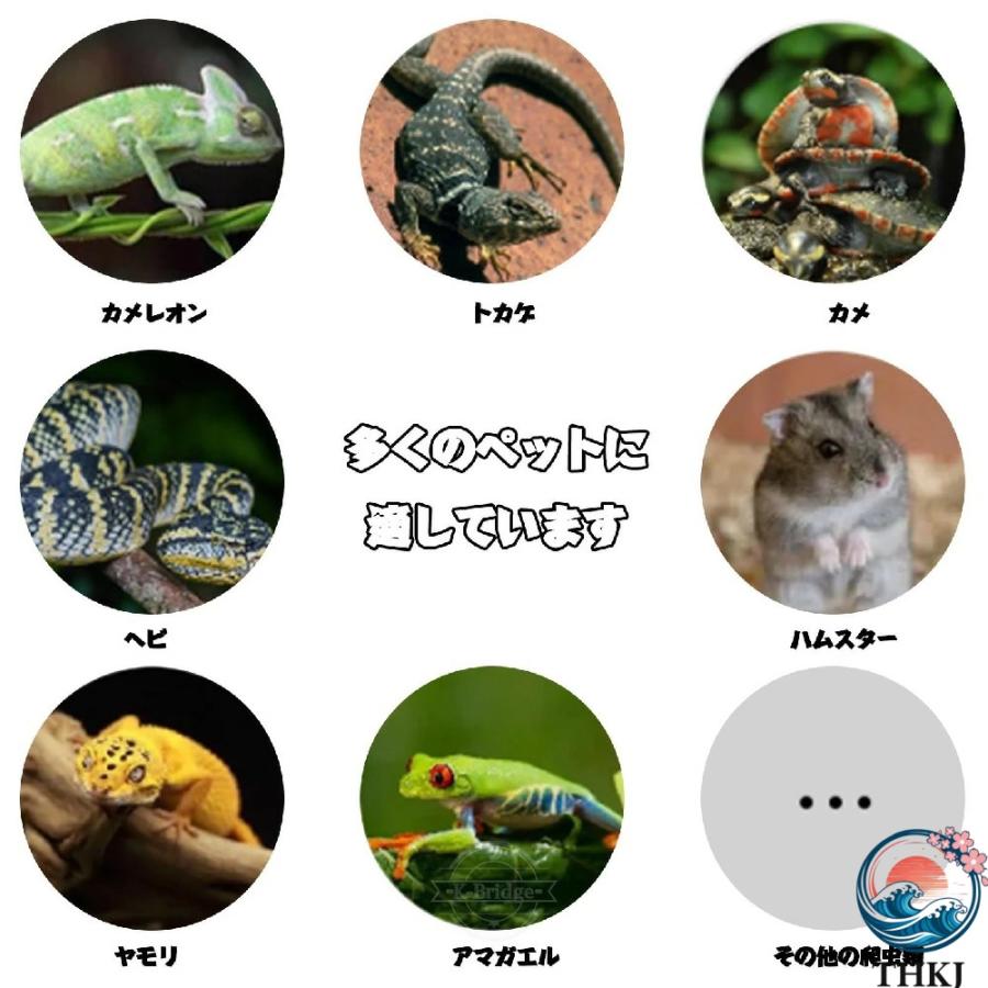 爬虫類 飼育 ケージ 両生類 給餌 ボックス アルミ合金フレーム製