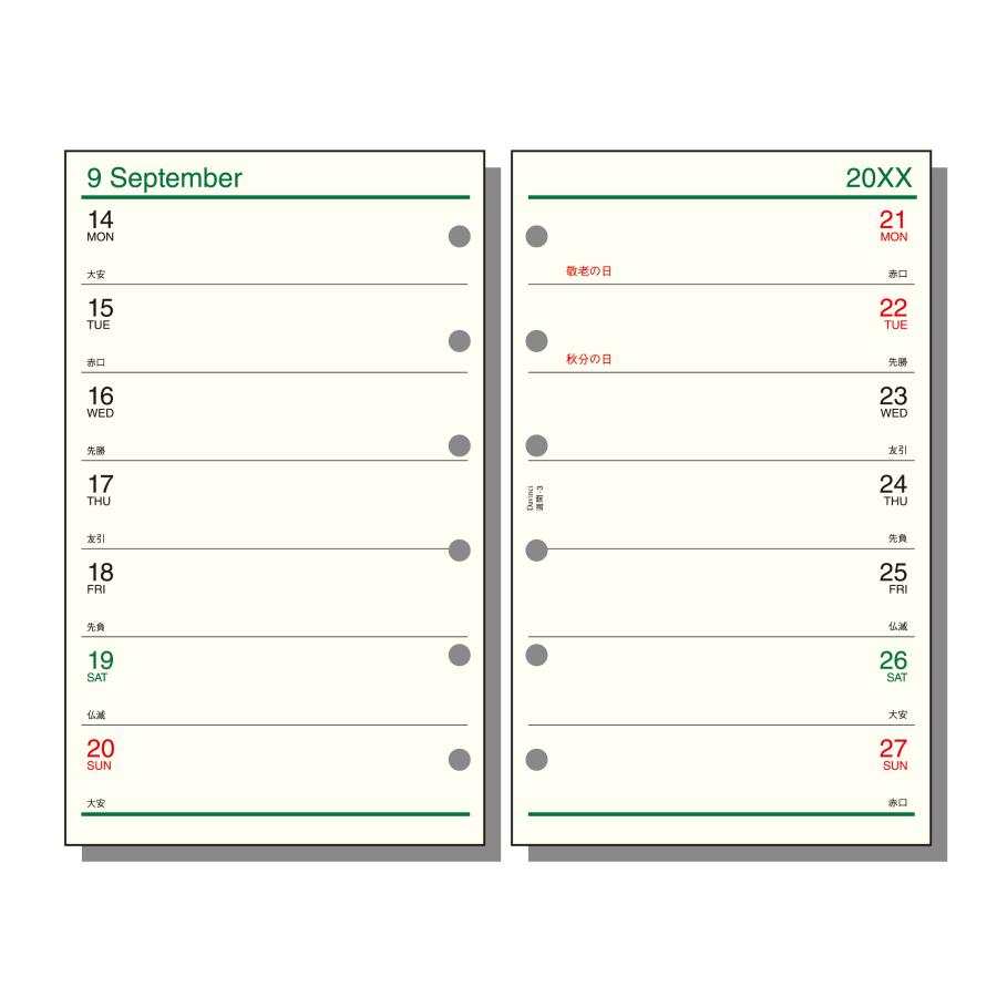 【全国送料無料】　レイメイ藤井　27ダ・ヴィンチ　ポケット週間-3　27DPR240　76×126×3　郵便受届 | レイメイ藤井 | 01