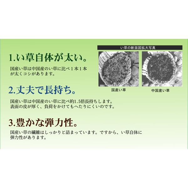 イケヒコ 純国産 柳川段通 三重織 い草ラグカーペット 『柳川かすり』 ブルー 約191×191 8227820｜faast｜18