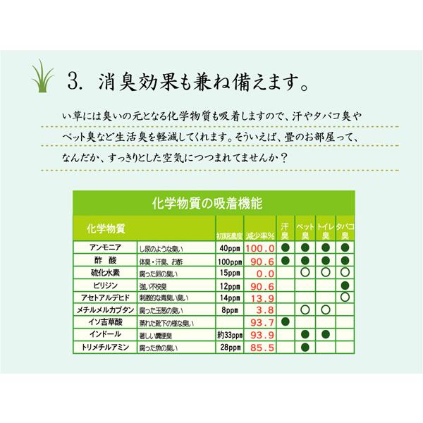 イケヒコ 純国産 柳川段通 四重織 い草ラグカーペット 『ラスター』 レッド 約191×250 8228080｜faast｜16