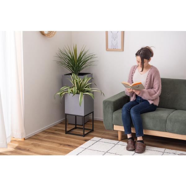 東谷 GRNB-56 プランター 鉢入れ スタンド付き モダン インダストリアル シンプル グレー 植物 観葉植物 インテリア 正方形 6号用 |  | 13