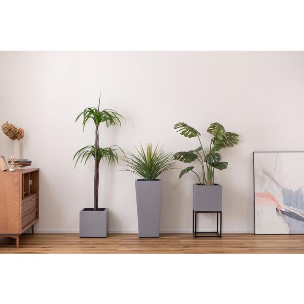 東谷 GRNB-56 プランター 鉢入れ スタンド付き モダン インダストリアル シンプル グレー 植物 観葉植物 インテリア 正方形 6号用 |  | 07