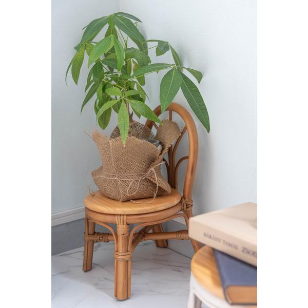 東谷　ミニチェア プランター　GUY-929NA　W23×D27×H40×SH20　0.8kg　完成品 | 東谷 | 19