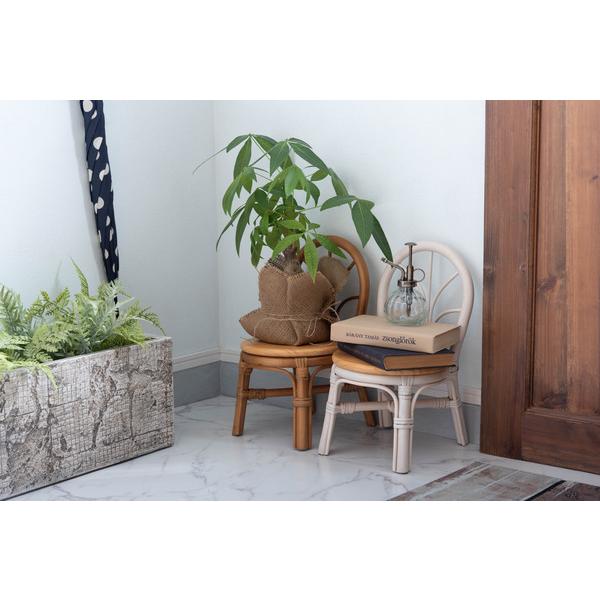 東谷　ミニチェア プランター　GUY-929NA　W23×D27×H40×SH20　0.8kg　完成品 | 東谷 | 04