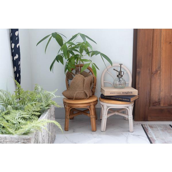 東谷　ミニチェア プランター　GUY-929NA　W23×D27×H40×SH20　0.8kg　完成品 | 東谷 | 05