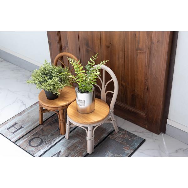 東谷　ミニチェア プランター　GUY-929WH　W23×D27×H40×SH20　0.8kg　完成品 | 東谷 | 13