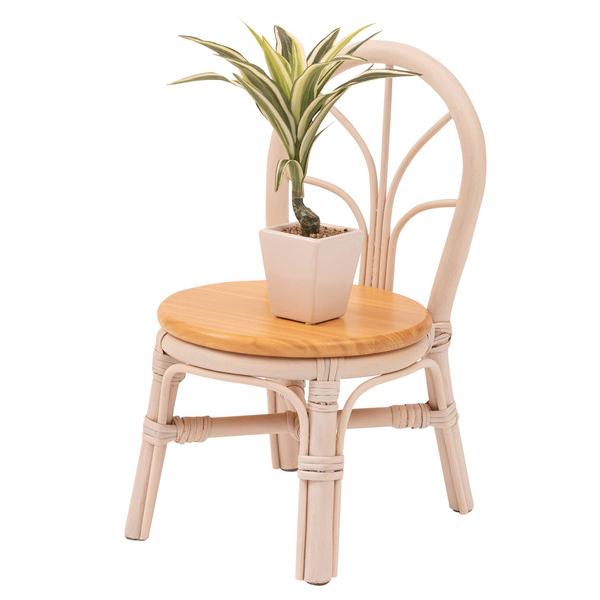 東谷　ミニチェア プランター　GUY-929WH　W23×D27×H40×SH20　0.8kg　完成品 | 東谷 | 03