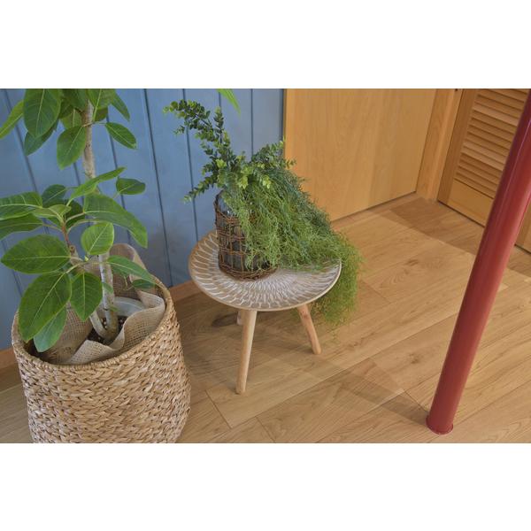 東谷　トレーテーブルM　LFS-191B　φ40×H37　1.5kg　ねじ込み | 東谷 | 05