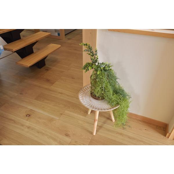 東谷　トレーテーブルM　LFS-191B　φ40×H37　1.5kg　ねじ込み | 東谷 | 07