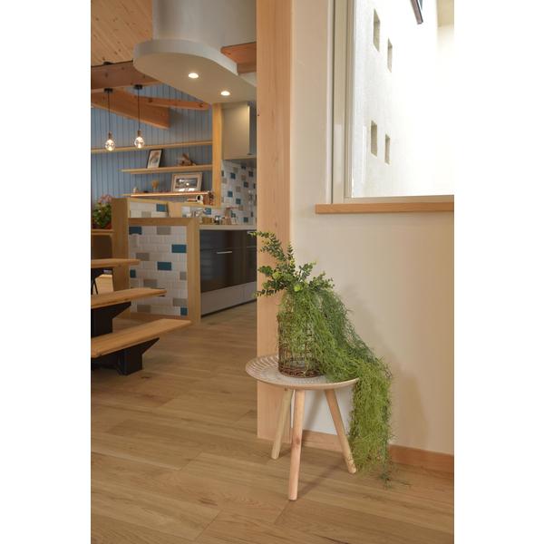 東谷　トレーテーブルM　LFS-191B　φ40×H37　1.5kg　ねじ込み | 東谷 | 08