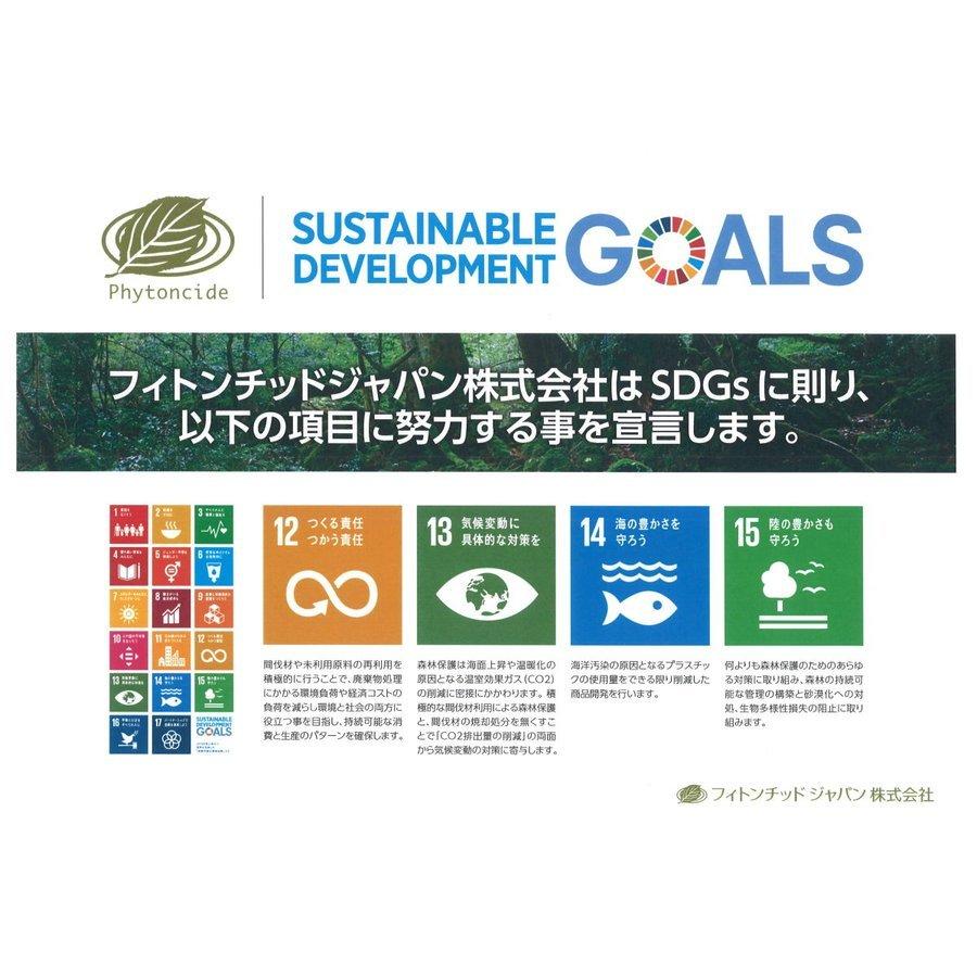 フィトンチッド　PC-560　グリーン　PC-560GR（エキスパートカートリッジ2本付属）お部屋で森林浴　 | フィトンチッドジャパン | 03