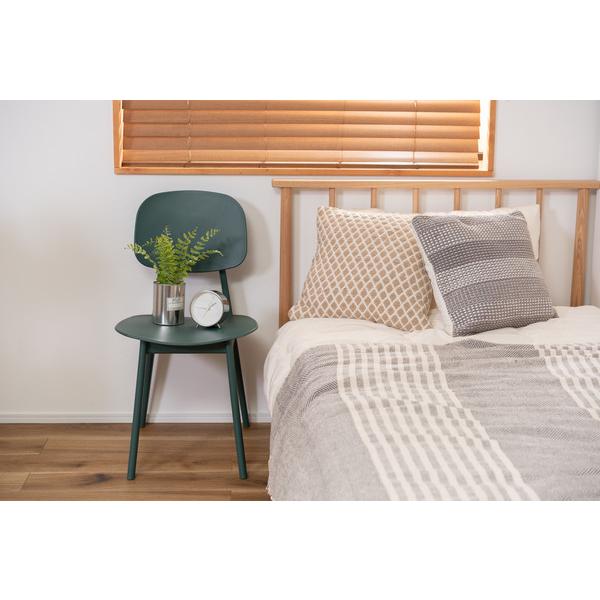 東谷　ダイニングチェア　オーディナリー チェア　PC-973GR　W42.5×D51×H81.5×SH42.5　5kg　組立式　静的耐荷重：80kg　六角レンチ付属　中国　グリーン | 東谷 | 01