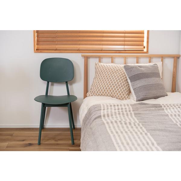 東谷　ダイニングチェア　オーディナリー チェア　PC-973GR　W42.5×D51×H81.5×SH42.5　5kg　組立式　静的耐荷重：80kg　六角レンチ付属　中国　グリーン | 東谷 | 02