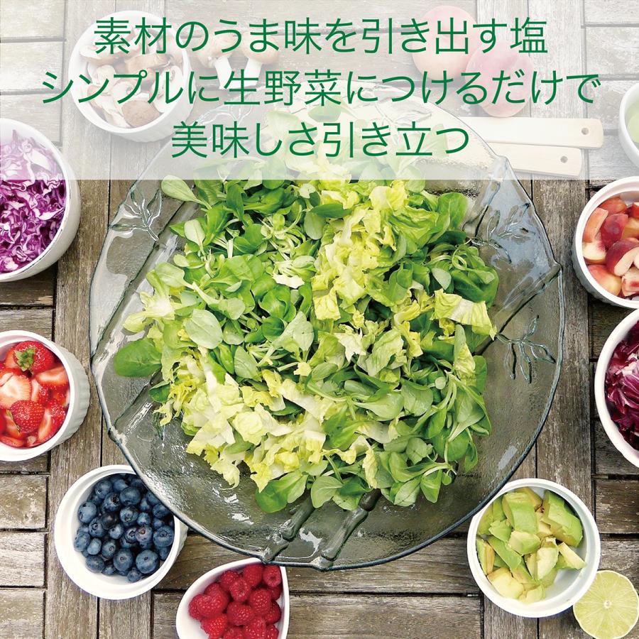 塩　塩の味　しおのみ　万能に使えるお塩 | FABALA | 02