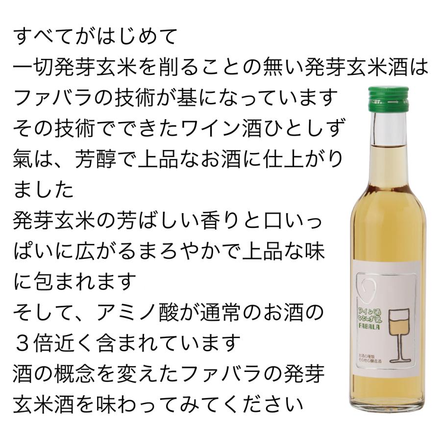 酒　ワイン酒ひとしず氣　辛口の発芽玄米酒 | FABALA | 01