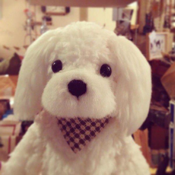 13.ぬいぐるみ、テディマルチーズ、犬、ハンドメイド、オリジナル特大