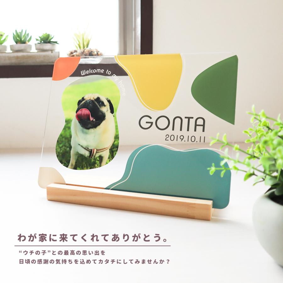 ペット メモリアル フォトフレーム 犬 猫 写真 名入れ ウチの子フォトフレーム 名前 入り 写真立て プレゼント 誕生日 お祝い お返し 記念品 (pet-pf01) | IDEA MAKER | 01