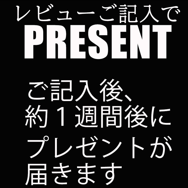 レビュー記入でプレゼントメンズ ダメージ ダメージデニム デニム