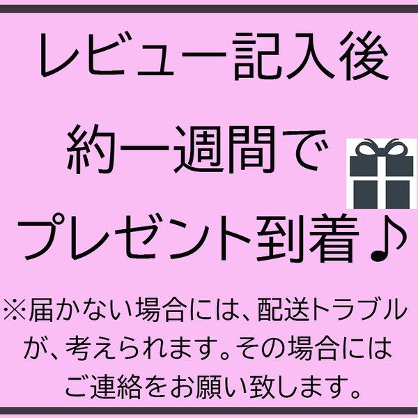 メンズ 腕時計 機械式 手動 フォーシニング FORSINING |  | 09