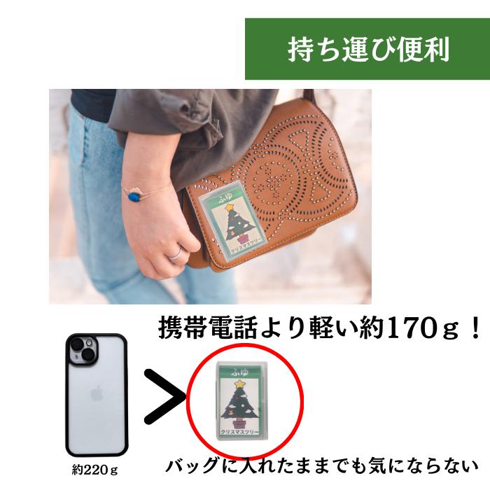 季節カード 輝く未来教育】小学校受験 知育 カード 小学校 受験 季節