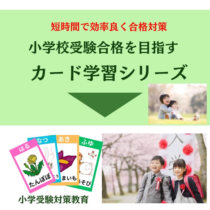 季節カード 輝く未来教育】小学校受験 知育 カード 小学校 受験 季節