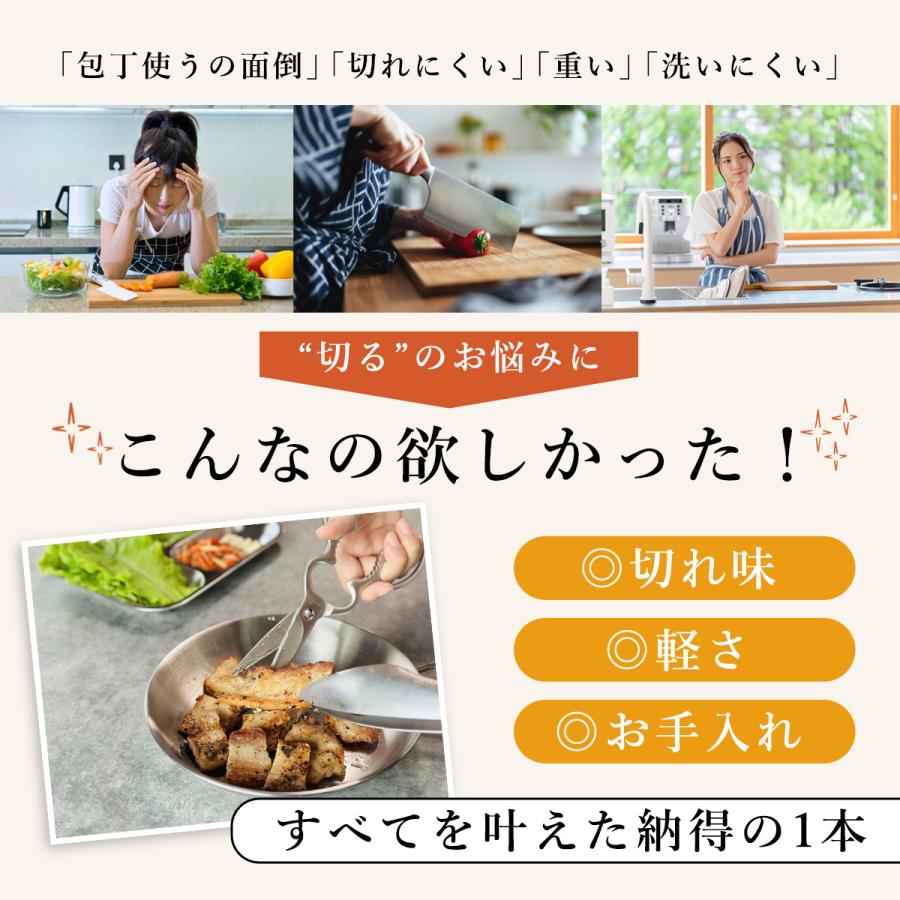 キッチンバサミ 分解 ステンレス 食洗機 オールステンレス 軽量 軽い 丸洗い 分解して洗える 料理 キッチンはさみ まな板いらず キッチン 便利グッズ 多機能 |  | 04