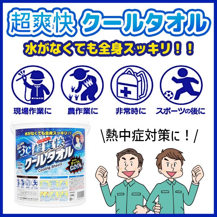 本田洋行 クールタオル ボデーシート ボディシート メンソール クール