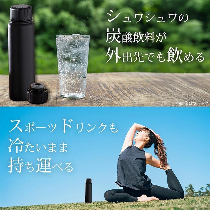 apide（アピデ） ステンレスボトル 水筒 500ml 炭酸OK ビール 炭酸飲料
