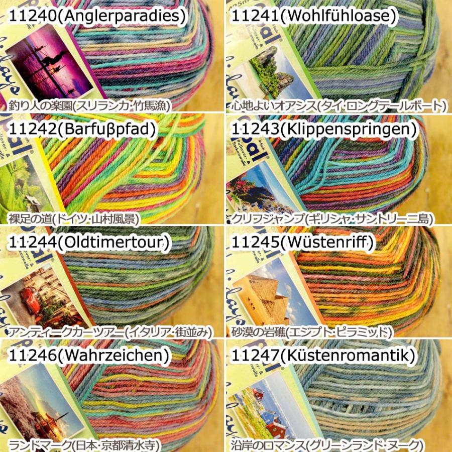 完売終了】1玉単位 Opal毛糸 Holidays 4-fach 中細タイプ